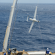 Un RQ–21 A aterrizando sobre el USS Mesa Verde con el sistema basado en una cuerda. (Imagen: Wikimedia Commons)